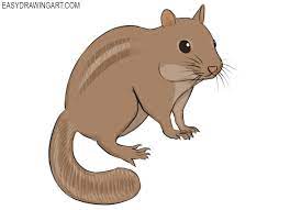 We did not find results for: How To Draw A Chipmunk Easy Drawing Art