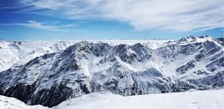 What's more, other formats of rose clipart, frame, continental vectors or background images are also available. Marco Rose Sales Manager Germany Vertriebsleiter Deutschland Blaklader Deutschland Gmbh Xing