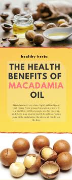 The Health Benefits Of Macadamia Oil Macadamia Oil Macadamia Healthy Herbs