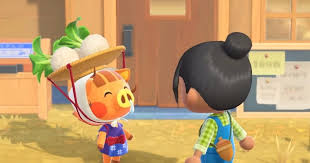 Animal Crossing World 🐦☕ On X: 
