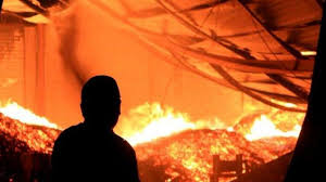 Narasumber dan fasilitator adalah yusring sanusi baso. Departemen Sastra Jepang Unhas Webinar Bahas Microhistory Indonesia Jepang Tribun Timur