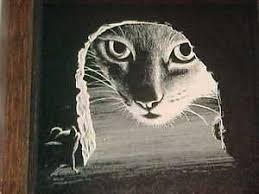 Black And White Cat Pictures To Print Vintage Rudy Droguett Black White Cat Mouse Print Based On Scratchboard Etching Scratchboard Scratchboard Etching Black And White Art Drawing