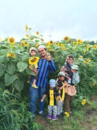 Mulai dari kepatuhan, kesetiaan, keceriaan, hingga persatuan. 7 Taman Bunga Matahari Yang Indah Di Kabar Dari Jepang Facebook