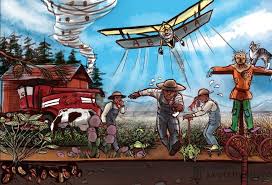 Image result for Asparagus aspergillus