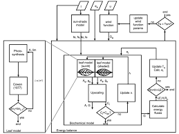 Flow Chart Of The Combined Photosynthesis Transpiration