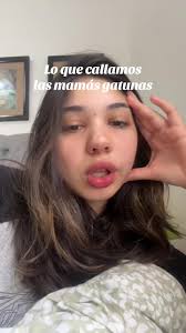 Desastres de una mamá gatuna: aventuras en casa