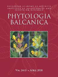 Image result for Argyrolobium rupestre