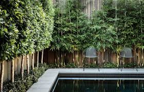 Landscape design idea for privacy (best trees and shrubs by zone). 10 Privacy Plants For Screening Your Yard In Style