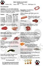 Prey Model Raw Feeding Chart Dog Raw Diet Raw Feeding For Dogs Dog Nutrition