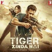 Tiger Zinda Hai Full Movies Online Free Free Movies Online Full Movies Download