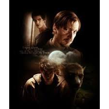 Obliviated Love Remus Lupin Love Story Completed Harry Potter Stories Remus Remus Lupin