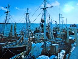 Image result for Dark Blue 2013 Fleet