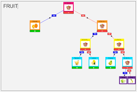 Computing Scheme of Work Unit 3.6 – Branching Databases