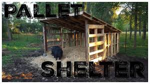 31+ new ideas diy storage shed cheap wood pallets. Pallet Animal Shelter Youtube