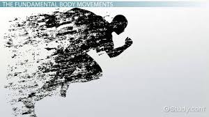 Locomotion And Movement - Explore The Major Differences