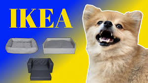 I am especially excited by their range of ikea dog beds. Animal Testing Ikea Dog Beds Youtube