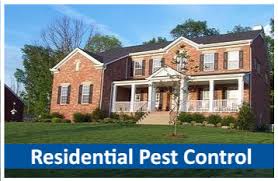 The national pest management association's awarded us with the qualitypro green certificate, being. Pest Control Services 1 In Tampa Fl Request A Free Quote