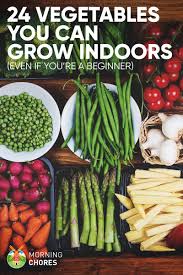 Even indoor plants need a minimum of 6 hours of darkness each day. 24 Newbie Friendly Vegetables You Can Easily Grow Indoors