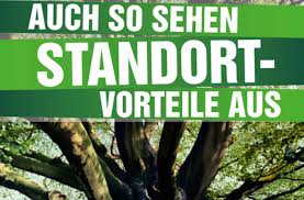 Einmal ist den einen das eine wahlplakat zu langweilig, das andere mal zu kontrovers. Stuttgart 21 Projektgegner Kritisieren Wahlplakat Der Grunen Stuttgart 21 Stuttgarter Zeitung