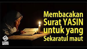Surat ini diturunkan di kota mekkah, disebut selain itu surat yasin juga dibaca saat tahlilan apabila ada orang yang meninggal dunia. Membacakan Surat Yasin Untuk Yang Sakaratul Mau Ust Zulkifli M Ali Lc Ma Youtube
