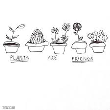 Learn how to draw step by step for kids of all ages. Tumblr Plant Drawings Google Search Easy Drawings Plant Drawing Drawings