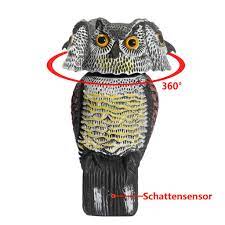 If you do pick up the statue you will find the description of the item is it's not clear where this came from, but it looks very. Bird Scarer Rotating Head Sound Owl Prowler Decoy Protection Repellent Pest Control Scarecrow Buy From 27 On Joom E Commerce Platform