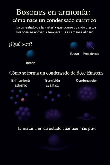 Cuando los átomos se vuelven uno solo: el condensado de Bose-Einstein El  condensado de Bose-Einstein (BEC) es un estado exótico de la materia que  surge cuando ciertos átomos son enfriados a temperaturas