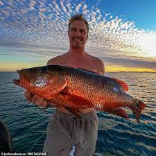 Shark Attack Near Coral Bay In Perth Wa As Fisherman Left With Horror Injuries Daily Mail Online