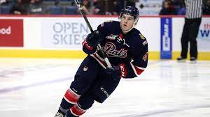 In fact, cale and hayden are teammates at seattle kraken. Cale Fleury Dobberprospects
