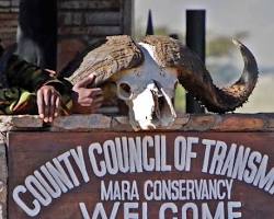 Image of Oloololo Gate Masai Mara