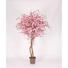 Bonsai rosa del deserto esotico abitante del deserto con fiori grandi bonsai da interno / rose a cespuglio, grandifiori e floribunde. Pesco Artificiale Con Fiori Rosa In Varie Altezze Da Cm 125 A Cm 350