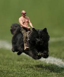 Näytä lisää sivusta funny cat pictures facebookissa. 12 Hilarious Photoshopped Pics Of Glorious Cat Who Interrupted A Rugby Game