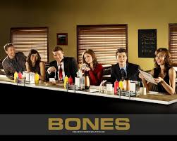 Bones is an american drama television series that premiered on the fox network on september 13, 2005. Desktop Wallpapers Bones Tv Series Movies