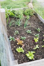 How I Plan My Pnw Vegetable Garden In Seattle Jojotastic Vegetable Garden Design Pnw Garden Veggie Garden