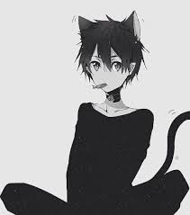 Boy Neko Anime Anime Amino Sport basketball basketball anime neko boy akakuro kuroko tetsuya kawaii female anime anime animals anime people. boy neko anime anime amino