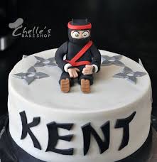 Bird In Hand Bake Shop Facebook Clumsy Ninja Cake Chelle S Bake Shop Www Facebook Com Chellesbakeshop Oswego Ny Cake Ninja Cake Bake Shop