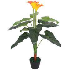 Ma non ci dimentichiamo del valcone di case. Arredare Casa Con I Fiori Calle Calla Consigli Per Prendersene Cura Guida Per Casa