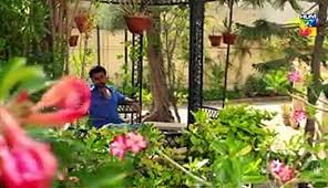 Suno Chanda Episode 20 Video Dailymotion