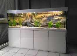 Aquarium Komplett Sonderangebote Sie Mochten Eine Aquarienkombination Preiswert Kaufen Sie Mochten Eine Aquariumkombinat Aquarium Aquarium Kaufen Aquarien