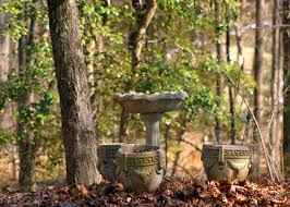 We did not find results for: The Value Of Birdbaths Hgtv