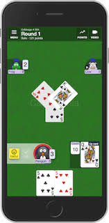 The other player then continues to play all the cards they can without exceeding 31. Play Cribbage Online Free 2 5 Players No Ads