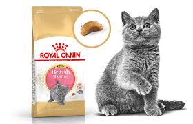 Royal Canin Kitten British Shorthair Yavru Irk Kedi Mamasi 2 Kg 85 Gr Yas Mama Kedi Kuru Mamalari Kampanyali Kedi Kuru Mamalari Royal Canin