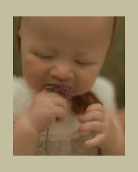 Grassroots Collective: Megan Springer