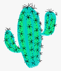 What do you know about this plant? Transparent Desert Cactus Png Desert Cactus Drawing Png Download Transparent Png Image Pngitem