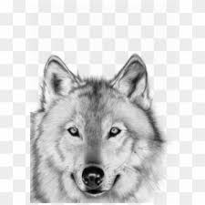 First of all, you will find that you can do this kind of work almost anywhere, as all you need is the surface to draw and the humble pencil. I Will Digitally Draw Cartoon And Realistic Animals Realistic Cartoon Dog Drawing Hd Png Download 680x650 3558811 Pngfind