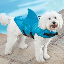 Dog life jacket fashionable dog life vest pet dog swimming clothes 3 colors. Shark Fin Life Jacket For Dogs