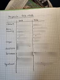 Die rna (ribonukleinsäure) ist ähnlich wie die dna ein aus nukleotiden bestehender strang. Aufbau Der Dna Und Rna Diagram Quizlet