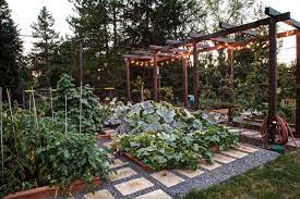Pin On Garden To Relax Group Board