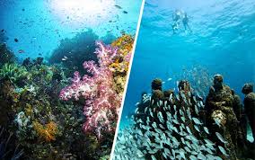 Adakah anda semua sedang mencari review mengenai gambar pemandangan yang cantik? 10 Destinasi Dengan Pemandangan Bawah Laut Terindah Di Dunia Blog Unik