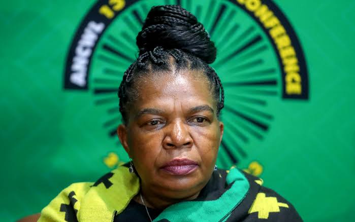 Political parties slam Dina Pule's Cabinet appointment